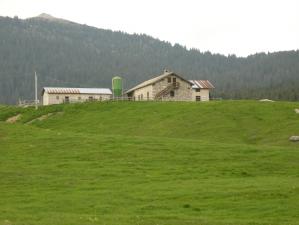 malga zona Vezzena